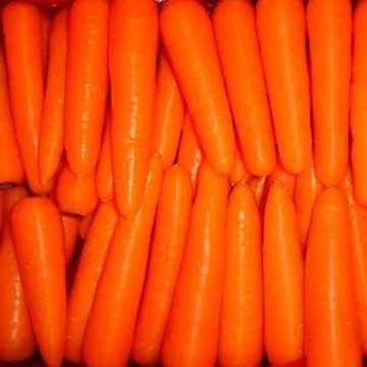 CARROT PACK FRESH
