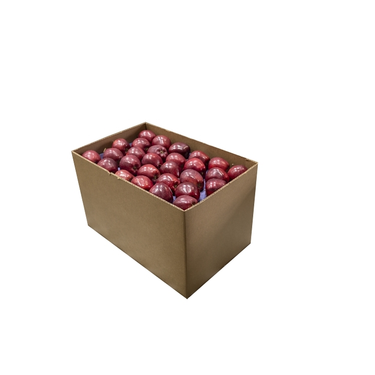 APPLE, RED DLC 125 CT WA. XFCY