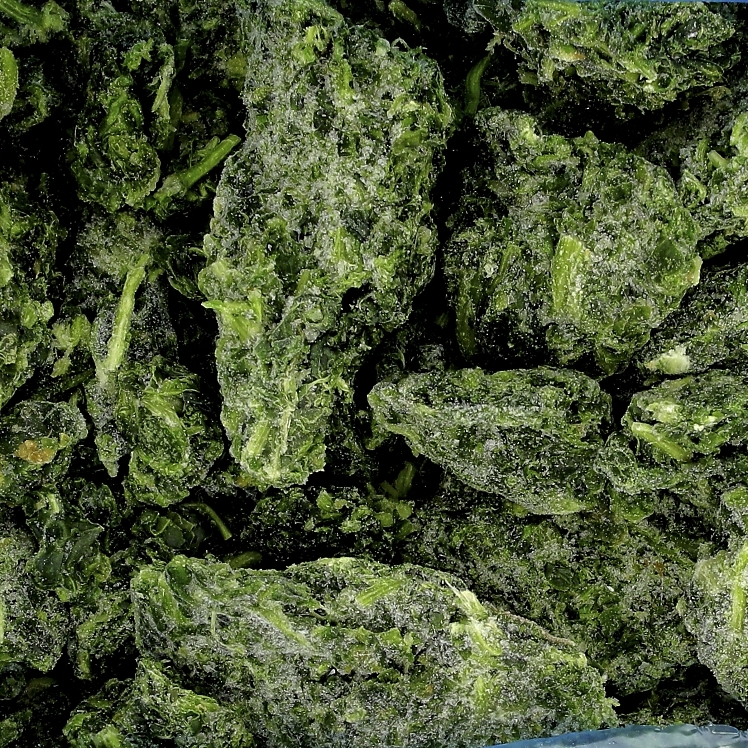 MONARCH SPINACH IQF FROZEN