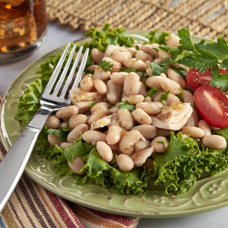 MONARCH GREAT NORTHERN BEAN FANCY CAN BRINE