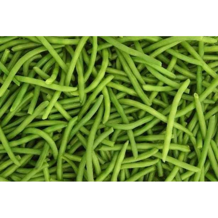 MONARCH HARICOT VERTS WHOLE GREEN BEANS