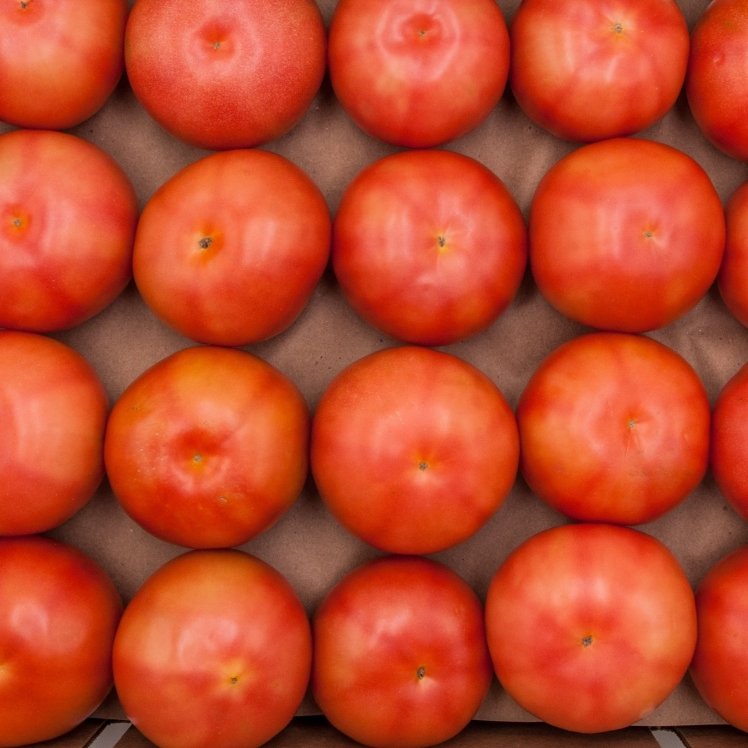 TOMATO 4X5 #1 GRADE ROUND 2 LAYER