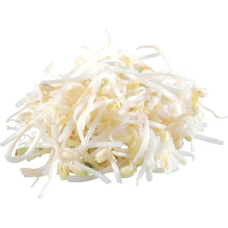 BEAN SPROUTS FRESH
