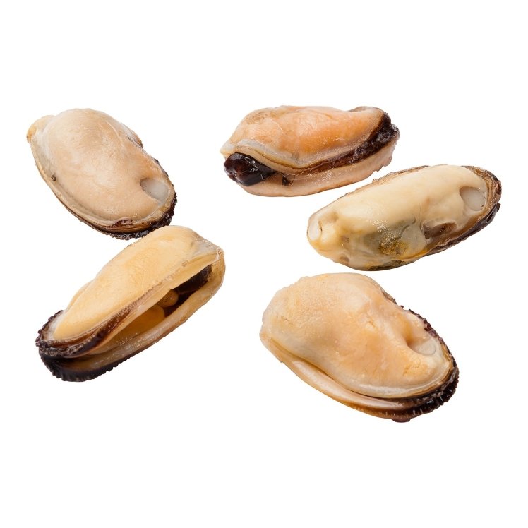 PANAPESCA BLUE MUSSEL MEAT