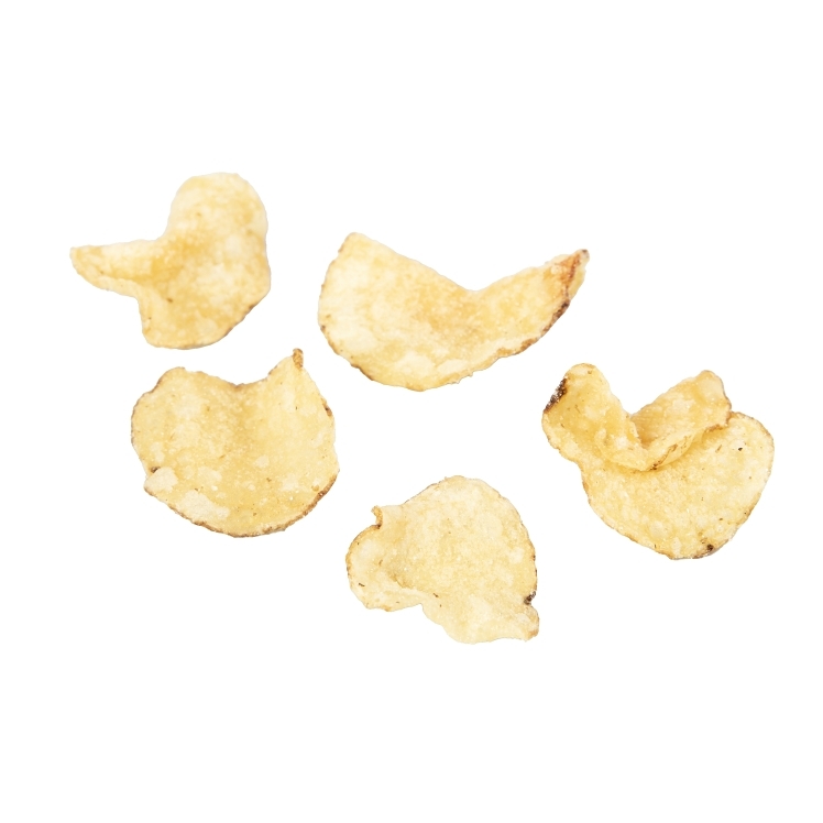 ZAPP'S POTATO CHIP REGULAR