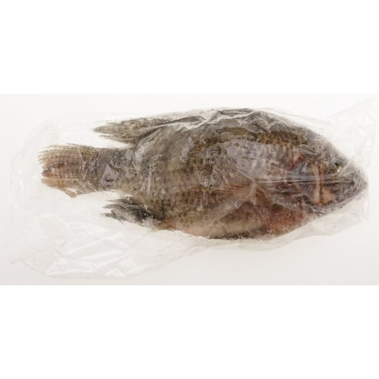 WHOLE TILAPIA 550-800 GRAMS