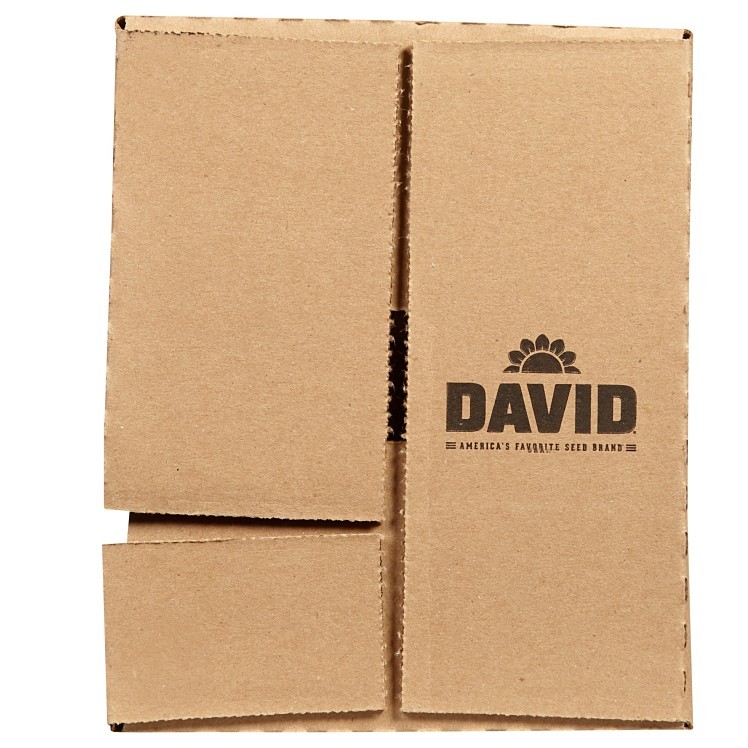 ORIGINAL DAVID & SON BBQ SUNFLOWER SEEDS