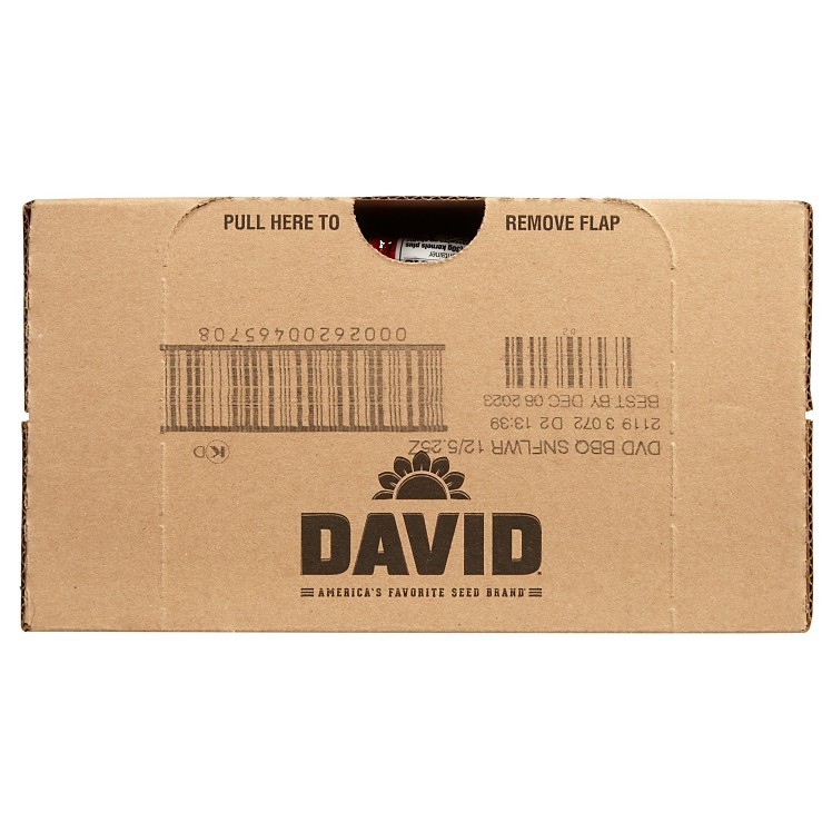 ORIGINAL DAVID & SON BBQ SUNFLOWER SEEDS
