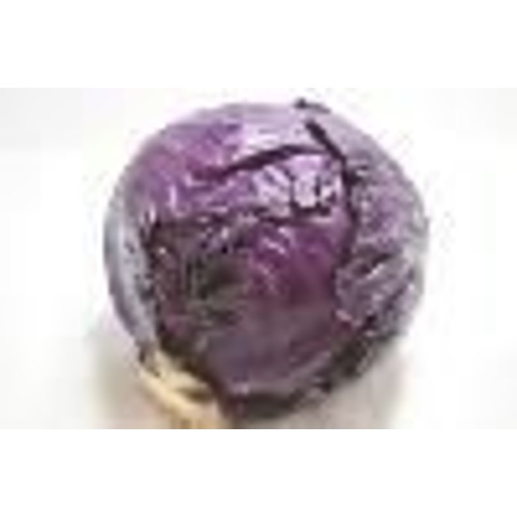 CABBAGE RED FRESH