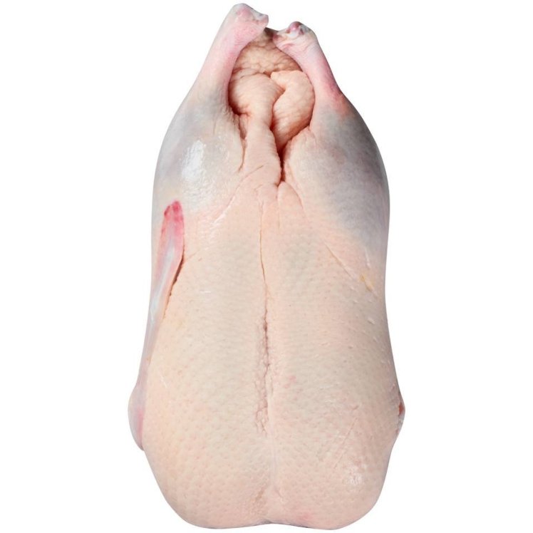 MAPLE LEAF FARMS WHOLE DUCK