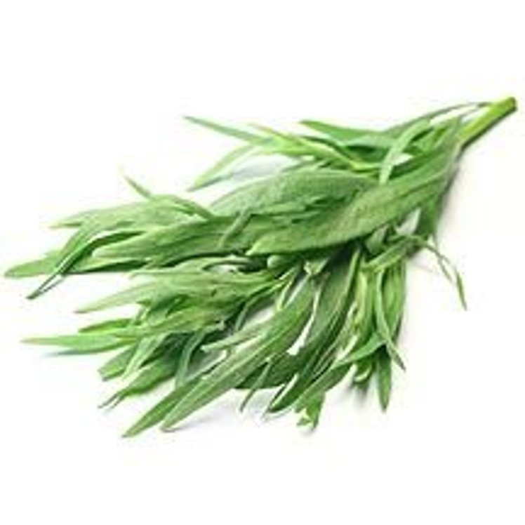 TARRAGON FRESH HERB
