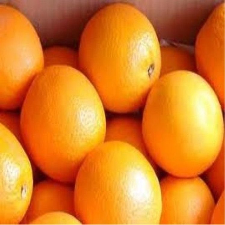 ORANGE 88 COUNT FRESH