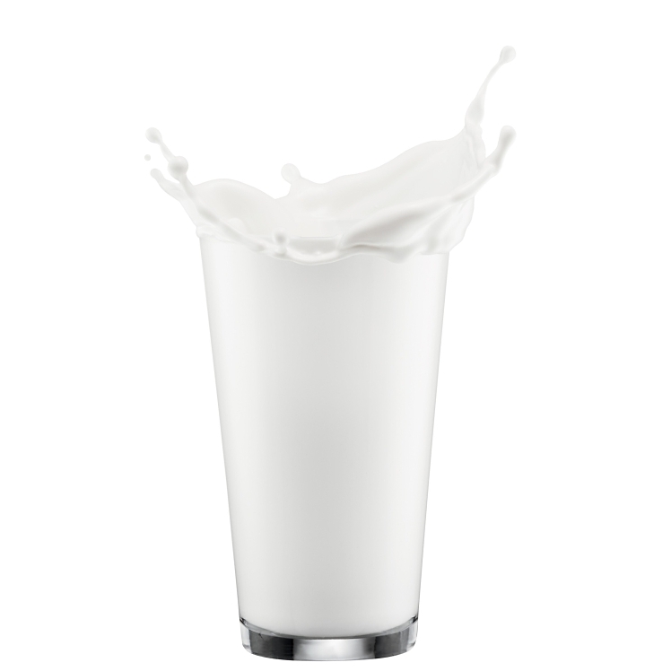 SILK VANILLA SOY MILK