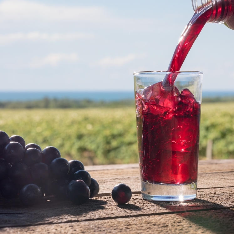 WELCH'S 100% GRAPE JUICE