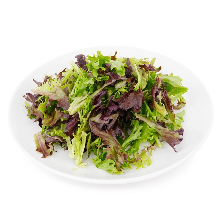SALAD MIX MEDLEY CUT CLEANED HARVEST