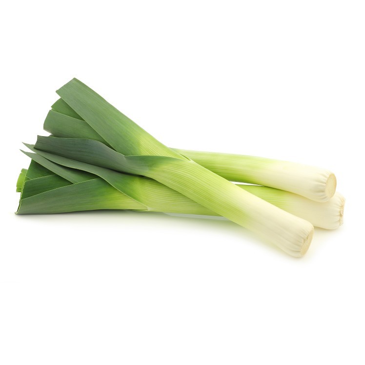 FRESH LEEKS