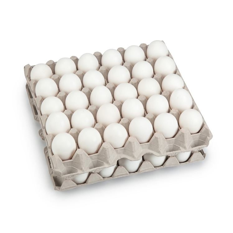 GLENVIEW FARMS CAGE FREE MEDIUM SHELL EGGS