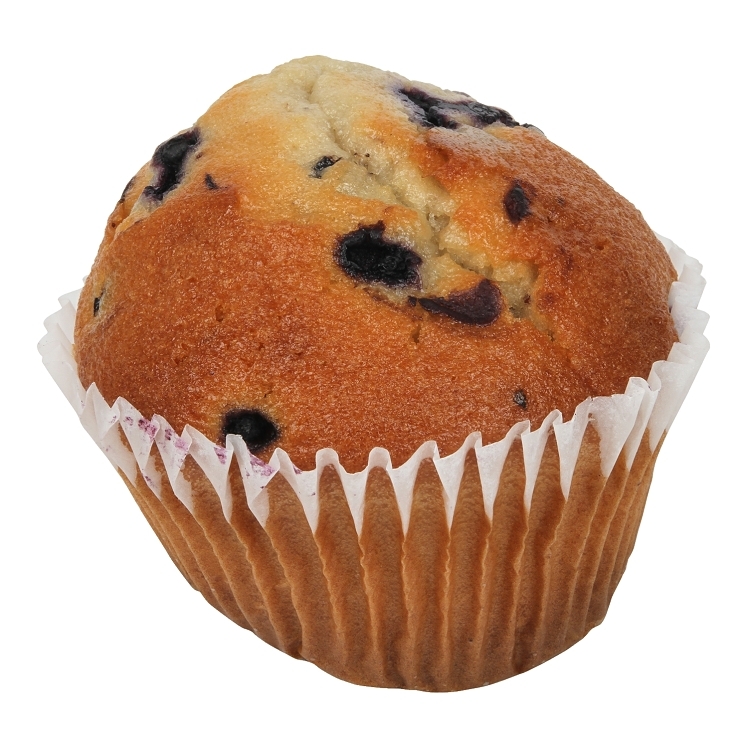 OTIS SPUNKMEYER INDIVIDUALLY PACKAGED BLUEBERRY MUFFINS