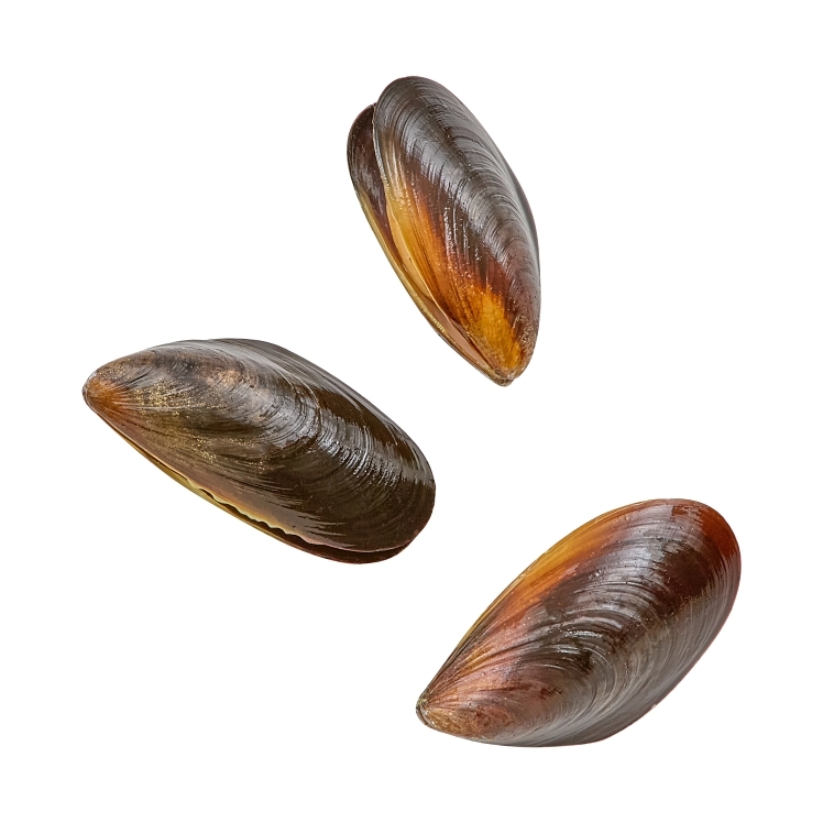 HARBOR BANKS BLUE MUSSELS IN SHELL COOKED IQF 23-29 COUNT