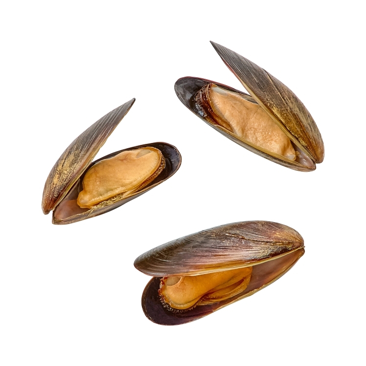 HARBOR BANKS BLUE MUSSELS IN SHELL COOKED IQF 23-29 COUNT