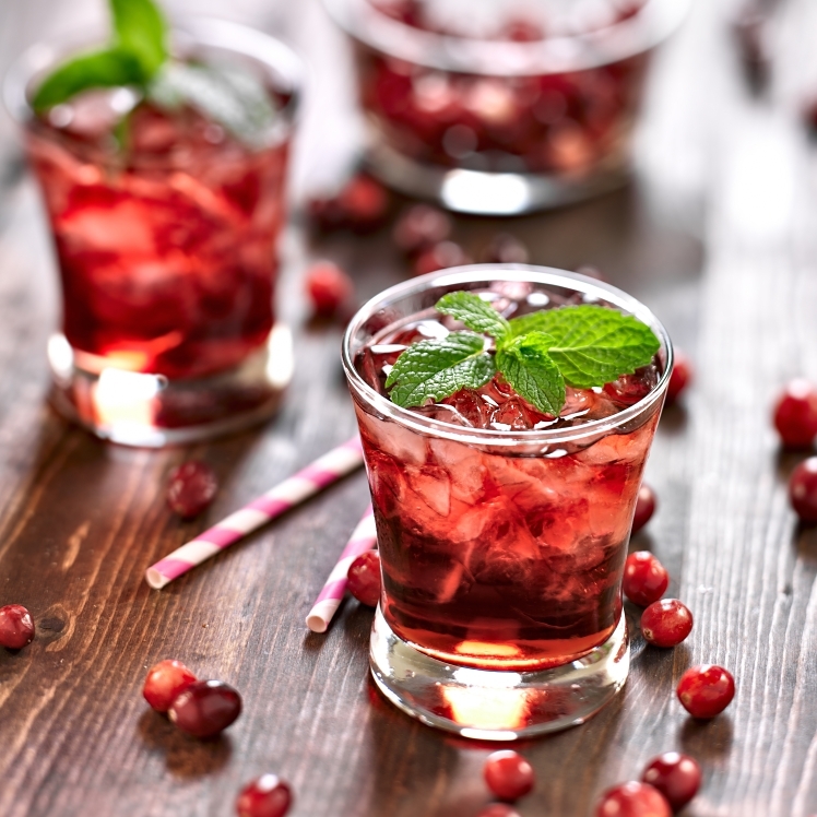 THIRSTER CRANBERRY DRINK 27%