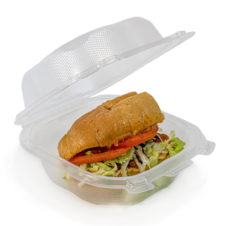 ECOSYSTEMS 6X6 CLEAR PLASTIC HINGED CONTAINER