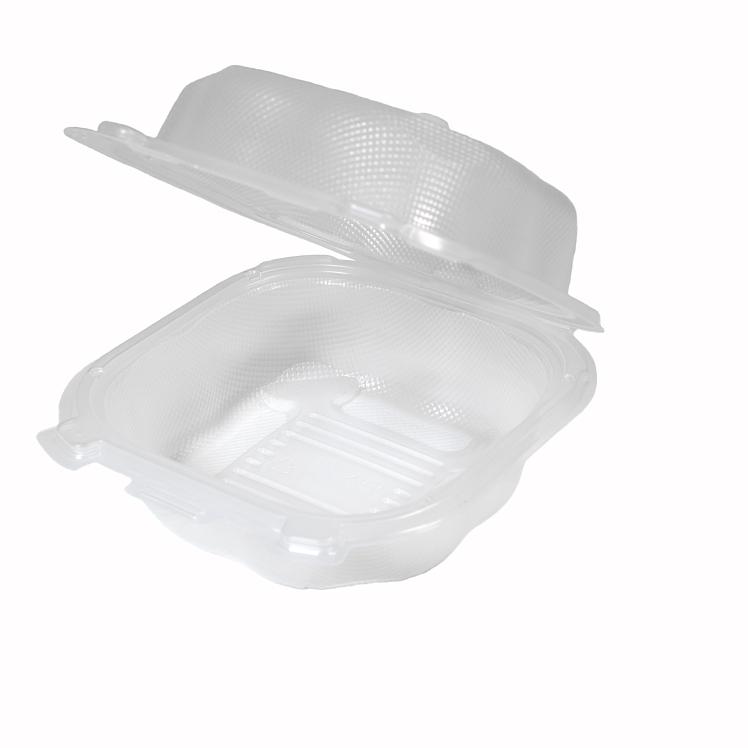 ECOSYSTEMS 6X6 CLEAR PLASTIC HINGED CONTAINER