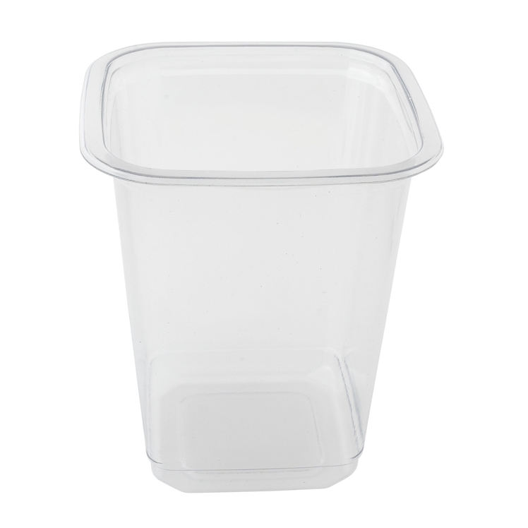 ECO-SYSTEMS ECO SYSTEMS PET PLASTIC SQUARE DELI CONTAINER 32 OZ