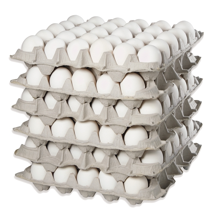 SUNSHINE EGGS LARGE CAGE FREE GRADE A EGGS