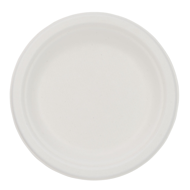 ECOSYSTEMS 6 WHITE MOLDED FIBER PLATE