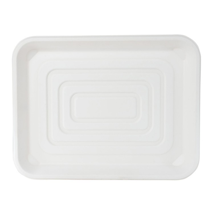 ECOSYSTEMS 14x18 WHITE MOLDED FIBER TRAY