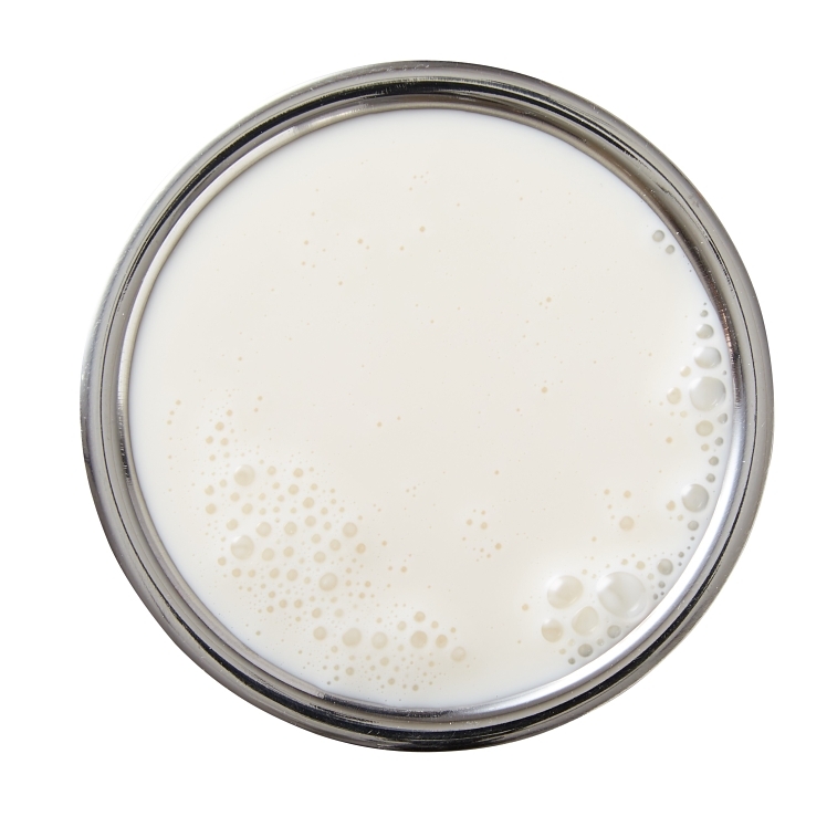 DAVINCI SWEET CREAMER