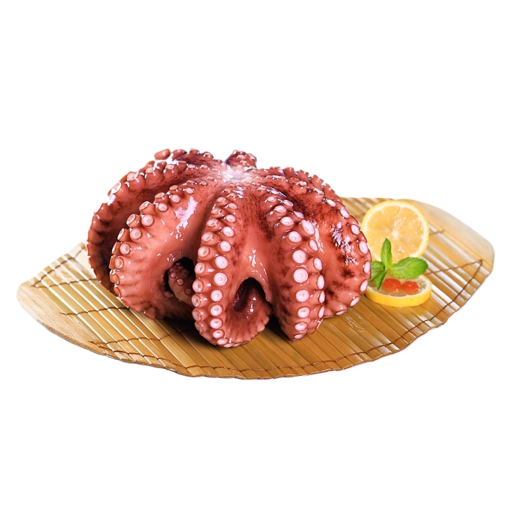 WHOLE OCTOPUS COOKED IVP