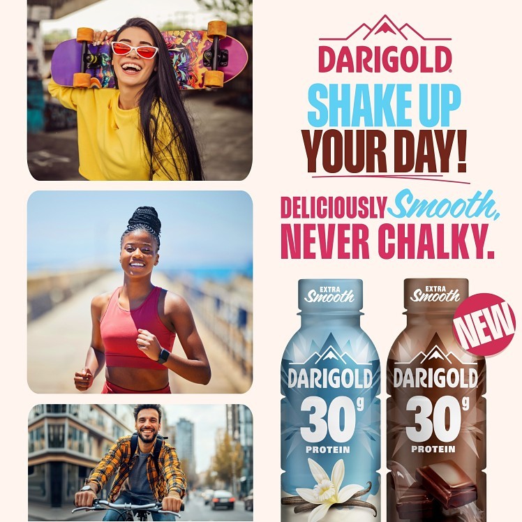 DARIGOLD CHOCOLATE PROTEIN SHAKE