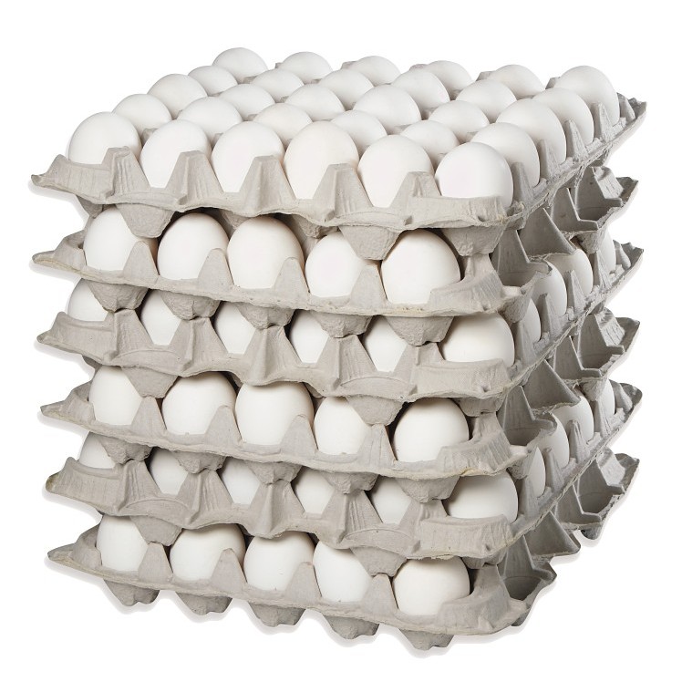 MEDIUM LOOSE WHITE SHELL EGGS