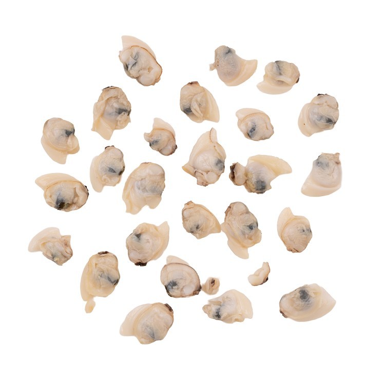 PANA PESCA CLAM MEAT IN JUICE