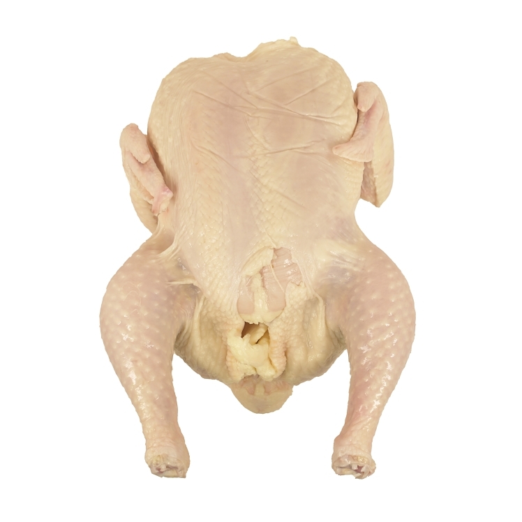 PATUXENT FARMS WHOLE YOUNG CHICKEN 10 HD 4 LB UP