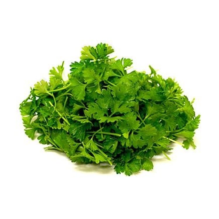 PARSLEY CURLY FRESH HERB CLEANED
