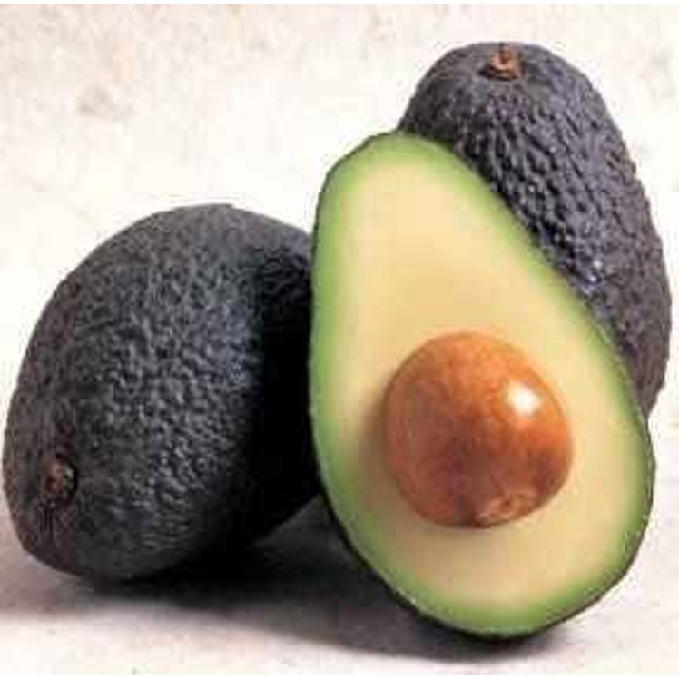 GREEN HASS AVOCADO 70CT CARTON