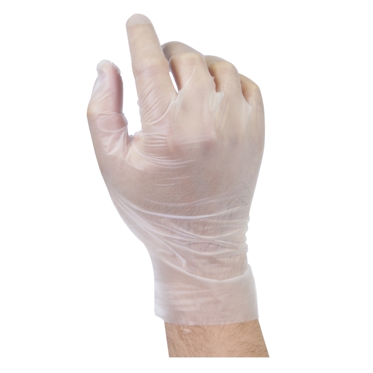VALUGARDS VALU GARDS STRETCH GLOVES LARGE POWDER FREE