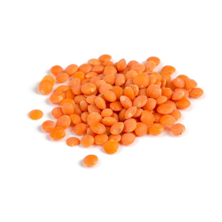 ARTISAN SPECIALTY FOODS RED LENTIL DRIED BEAN