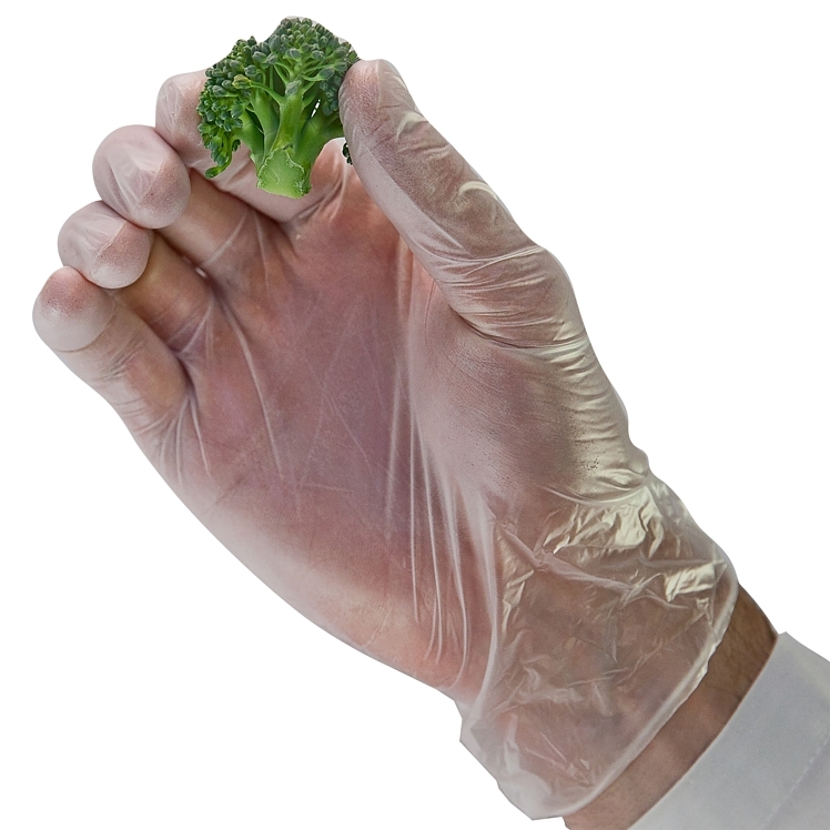 MONOGRAM LARGE VINYL LIGHTLY POWDERED GLOVE