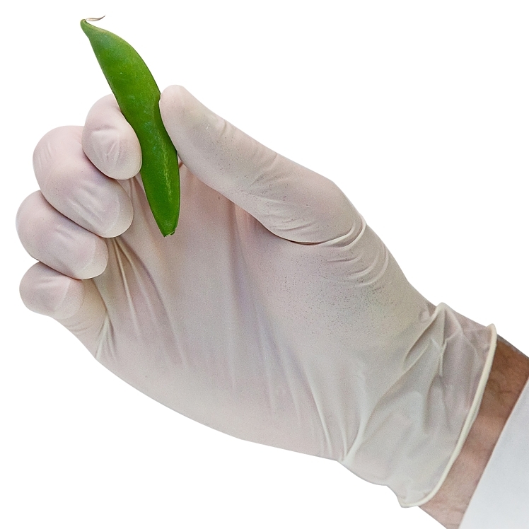 MONOGRAM LIGHTLY POWDERED LATEX GLOVES SIZE SMALL